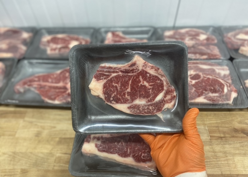 Cattle inside Michigan Halal Meats livestock pens